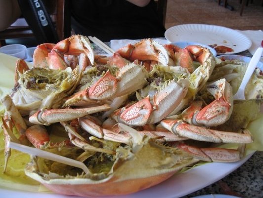 Steamed Dungeness Crab