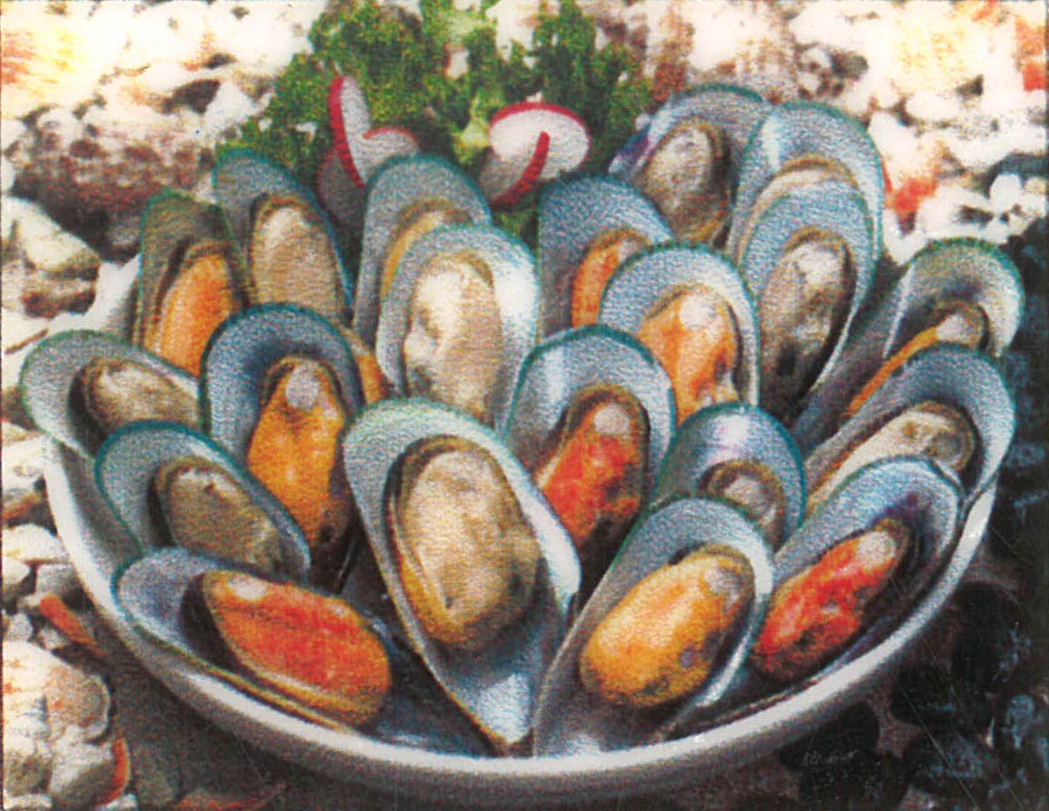 Steamed Mussels