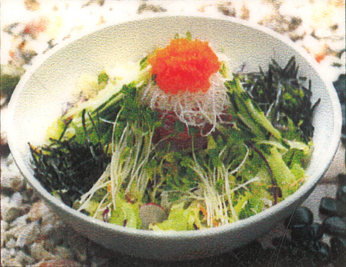 Sashimi Salad