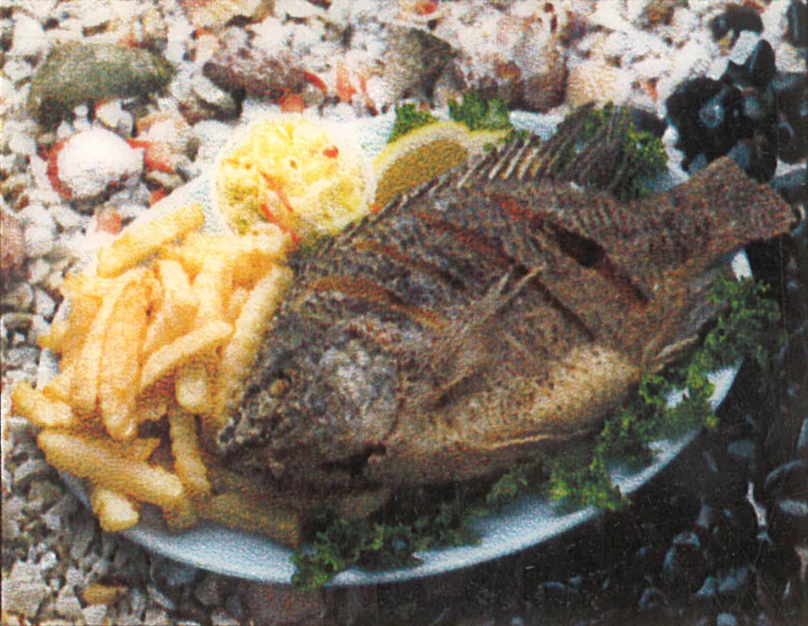 Deep Fried Fish